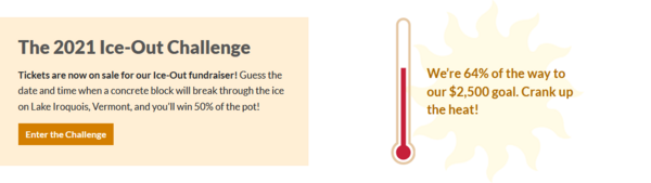 Screenshot from a website showing buttons and a fundraising thermometer